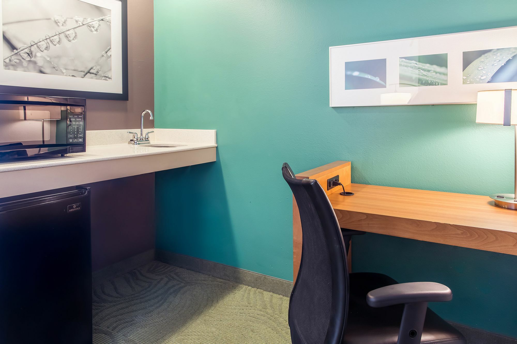 Springhill Suites By Marriott Memphis East Galleria Εξωτερικό φωτογραφία